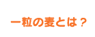 一粒の麦とは?